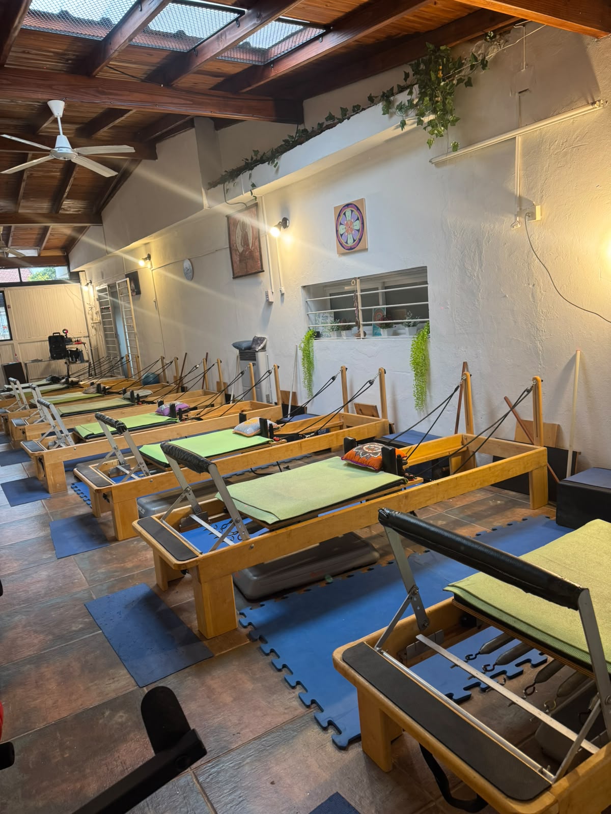 Clases Pasion Fitness
